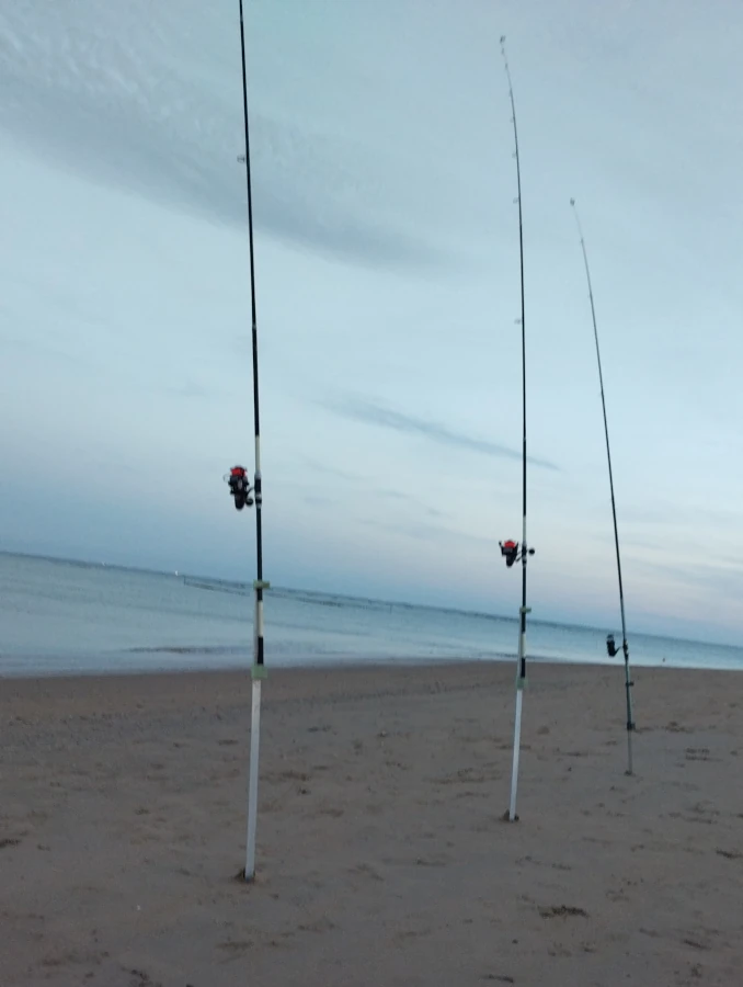 Vue d'une plage de l'île de Ré avec trois cannes de surfcasting en action de pêche au crépuscule