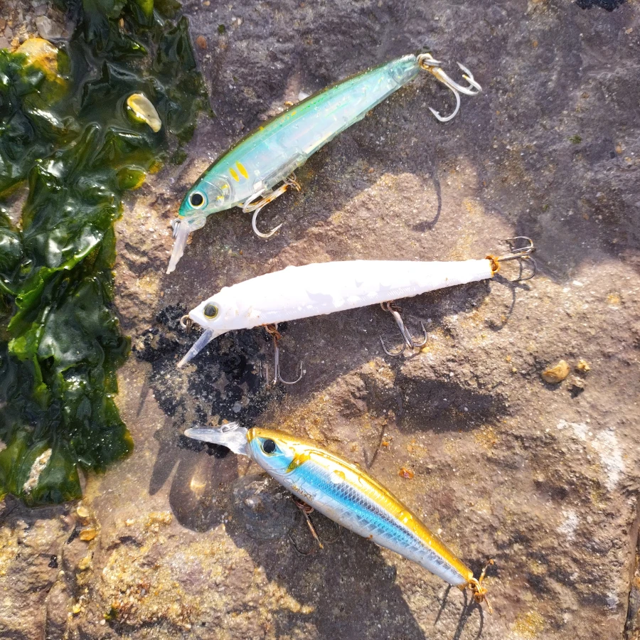 Trois leurres durs a bavette un couleur naturel, un blanc, et un argenté et vert jaune posé sur un rocher avec des algues