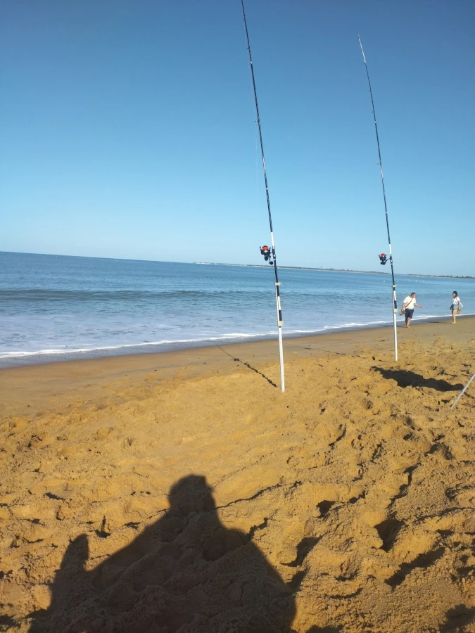 Canne de surfcasting en action de pêche sur une plage de Vendée