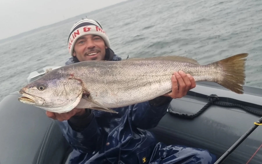 Client sur son bateau à l'ile de Ré avec un maigre pêché au leurre